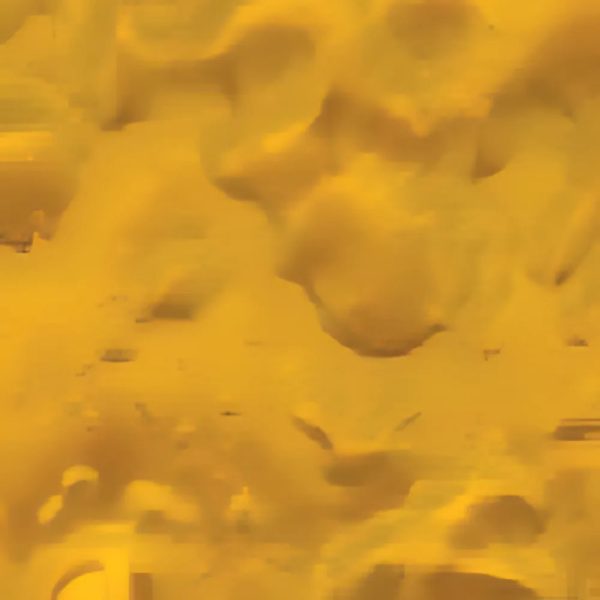 Arizona Gold metallic epoxy floor finish by AZ Garage Floors